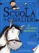 Il candido destriero. Scuola di cavalieri