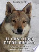 Il Cane Lupo Cecoslovacco - Storia di una meravigliosa simbiosi con il lupo da comprendere e amare