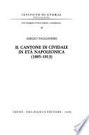 Il Cantone di Cividale in età napoleonica (1805-1813)