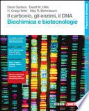 Il carbonio, gli enzimi, il DNA. Biochimica e biotecnologie. Per le Scuole superiori