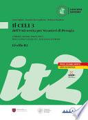 Il Celi dell'Università per Stranieri di Perugia. Certificato di conoscenza della lingua italiana. Italiano generale. CELI 3 (B2)