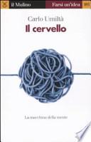 Il cervello