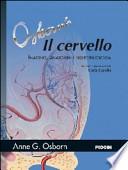 Il cervello. Imaging, patologia e anatomia