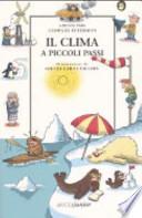 Il clima a piccoli passi