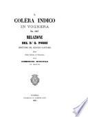 Il colèra indico in Voghera nel 1867