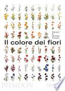 Il colore dei fiori