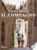 Il compagno