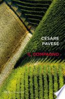 Il compagno
