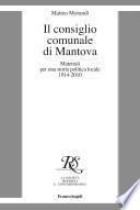 Il consiglio comunale di Mantova. Materiali per una storia politica locale 1914-2010