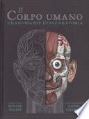 Il corpo umano. Una guida pop-up all'anatomia