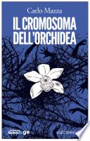 Il cromosoma dell'orchidea
