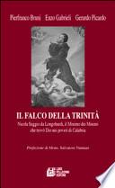 Il falco della Trinità. Saggio da Longobardi, il minimo dei minimi che trovò Dio nei poveri di Calabria