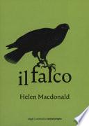 Il falco