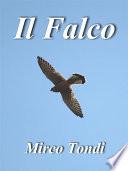 Il Falco
