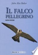 Il falco pellegrino