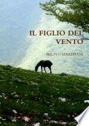 IL FIGLIO DEL VENTO