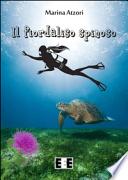 Il fiordaliso spinoso