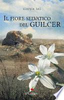 Il fiore selvatico del Guilcer