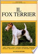 Il fox terrier