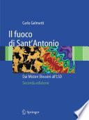 Il fuoco di Sant'Antonio
