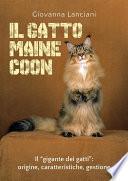 Il gatto Maine Coon