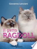 Il gatto Ragdoll. Manuale di istruzioni: origine, caratteristiche, cure