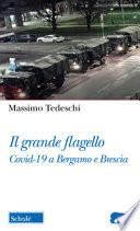 Il Grande flagello. Covid-19 a Bergamo e Brescia