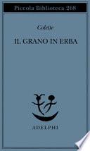Il grano in erba