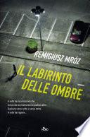 Il labirinto delle ombre