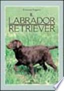 Il labrador retriever