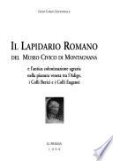 Il lapidario romano del Museo civico di Montagnana e l'antica colonizzazione agraria nella pianura veneta tra l'Adige, i Colli Berici e i Colli Euganei