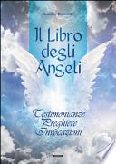 Il libro degli angeli