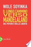 Il lungo cammino verso Mandelaland