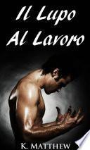 Il Lupo Al Lavoro