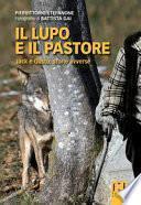 Il lupo e il pastore. Jack e Güstu, storie avverse