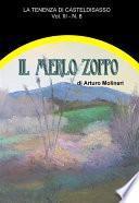 Il merlo zoppo