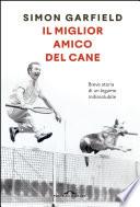 Il miglior amico del cane