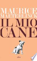 Il mio cane