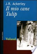 Il mio cane Tulip