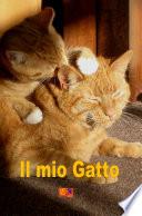 Il mio Gatto