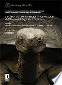 Il Museo di storia naturale dell'Università degli studi di Firenze