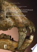 Il Museo di Storia Naturale dell'Università degli Studi di Firenze. Le collezioni geologiche e paleontologiche / The Museum of Natural History of the University of Florence. The Geological and Paleontological Collections
