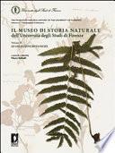Il museo di storia naturale dell'Università di Firenze. Ediz. italiana e inglese