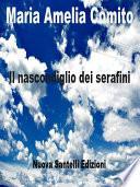 Il nascondiglio dei serafini