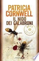 Il nido dei calabroni