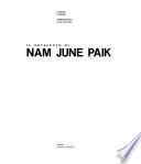 Il Novecento di Nam June Paik