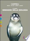 Il nuovo immagini della biologia. Vol. E. La varietà dei viventi. Con espansione online. Per le Scuole superiori