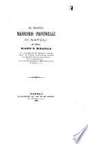 Il nuovo manicomio provinciale di Napoli pel dottore Biagio G. Miraglia