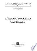 Il nuovo processo cautelare
