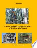 Il Parco Avventura Sospeso nel Verde e l'Altopiano delle Pizzorne